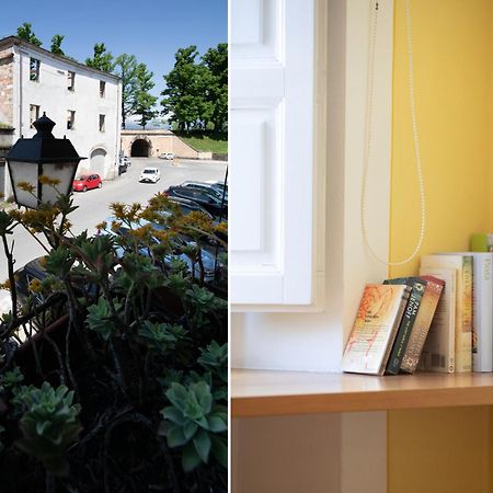 A Casa Di Irene Apartment Лука Екстериор снимка