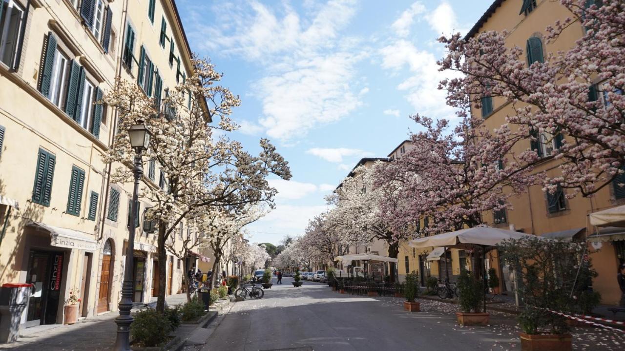 A Casa Di Irene Apartment Лука Екстериор снимка